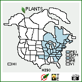 Distribution of Hieracium scabrum Michx.. . Image Available. 