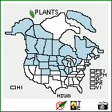 Distribution of Hieracium umbellatum L.. . Image Available. 