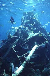 (NPS photo) Underwater view of the shipwrecked remains of The Mandalay