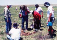 (NPS photo) Archeologists use metal detectors at Sand Creek