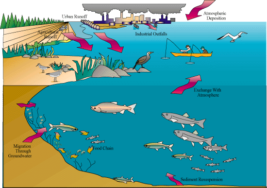 photo showing a diagram of sources and pathways of pollution