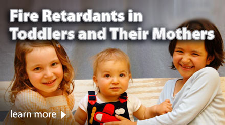Fire Retardants in Toddlers and Their Mothers
