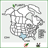 Distribution of Lythrum ovalifolium Koehne. . 