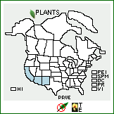 Distribution of Prosopis velutina Woot.. . 