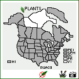 Distribution of Rumex acetosella L.. . Image Available. 