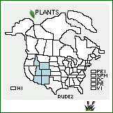 Distribution of Rumex densiflorus Osterh.. . 