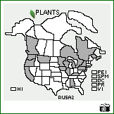 Distribution of Rumex sanguineus L.. . Image Available. 