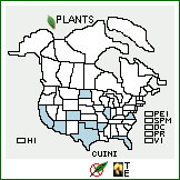 Distribution of Cuscuta indecora Choisy var. indecora. . 