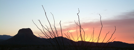 Ocotillo sunset