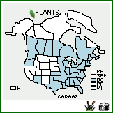 Distribution of Cardamine parviflora L. var. arenicola (Britton) O.E. Schulz. . Image Available. 