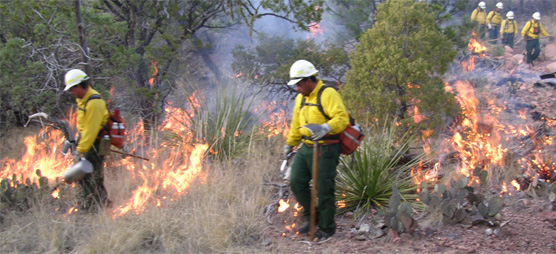 Southeast Rim Prescribed Burn, December 2005