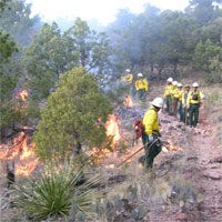 Los Diablos fire crew working a prescribed burn