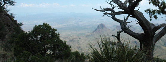 Elephant Tusk Peak viewed from the South Rim of the Chisos Mountains.