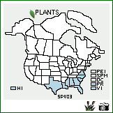 Distribution of Sporobolus virginicus (L.) Kunth. . Image Available. 