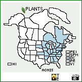 Distribution of Acer nigrum Michx. f.. . Image Available. 