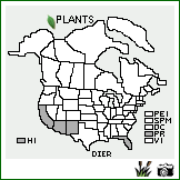 Distribution of Digitaria eriantha Steud.. . Image Available. 