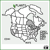 Distribution of Achillea filipendulina Lam.. . Image Available. 