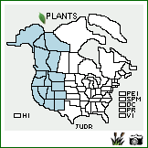 Distribution of Juncus drummondii E. Mey.. . Image Available. 