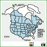 Distribution of Juncus dudleyi Wiegand. . Image Available. 