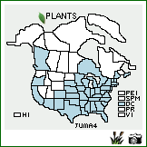 Distribution of Juncus marginatus Rostk.. . Image Available. 