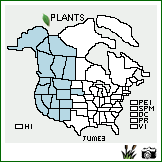 Distribution of Juncus mertensianus Bong.. . Image Available. 