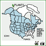 Distribution of Juncus nodosus L.. . Image Available. 