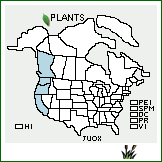 Distribution of Juncus oxymeris Engelm.. . 