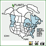 Distribution of Juncus pelocarpus E. Mey.. . Image Available. 