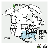 Distribution of Juncus validus Coville. . Image Available. 