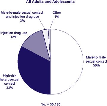 Transmission category for persons with a new HIV diagnosis in 2006
		
All Adults and Adolescents
Male-to-male sexual contact and injection drug use 3%
Injection drug use 13%
Male-to-male sexual contact 50%
High-risk heterosexual contact 33%
other 1%
no. = 35,180