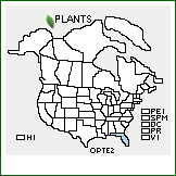 Distribution of Opuntia tenuiflora Small. . 