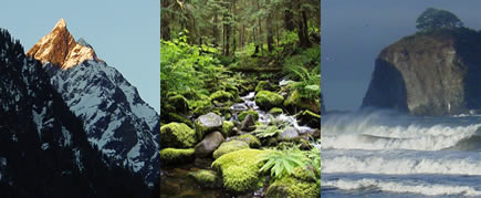 three images of Olympic -- mountain, forest with creek, and coast