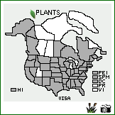 Distribution of Vicia sativa L.. . Image Available. 