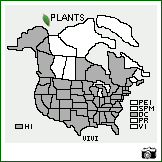 Distribution of Vicia villosa Roth. . Image Available. 