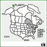 Distribution of Iris ensata Thunb.. . Image Available. 