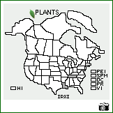 Distribution of Iris xiphium L.. . Image Available. 