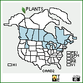 Distribution of Carex adusta Boott. . Image Available. 