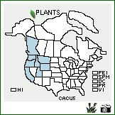 Distribution of Carex cusickii Mack. ex Piper & Beattie. . Image Available. 