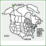 Distribution of Carex divulsa Stokes. . 