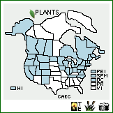 Distribution of Carex echinata Murray. . Image Available. 