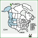 Distribution of Carex exsiccata L.H. Bailey. . 