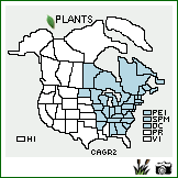 Distribution of Carex gracillima Schwein.. . Image Available. 