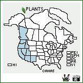 Distribution of Carex hassei L.H. Bailey. . Image Available. 