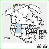 Distribution of Carex nelsonii Mack.. . Image Available. 