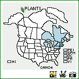 Distribution of Carex novae-angliae Schwein.. . Image Available. 