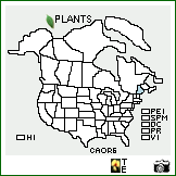 Distribution of Carex oronensis Fernald. . Image Available. 