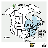 Distribution of Carex plantaginea Lam.. . Image Available. 