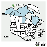 Distribution of Carex rotundata Wahlenb.. . Image Available. 