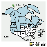 Distribution of Carex scirpoidea Michx.. . Image Available. 