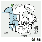 Distribution of Carex spectabilis Dewey. . Image Available. 